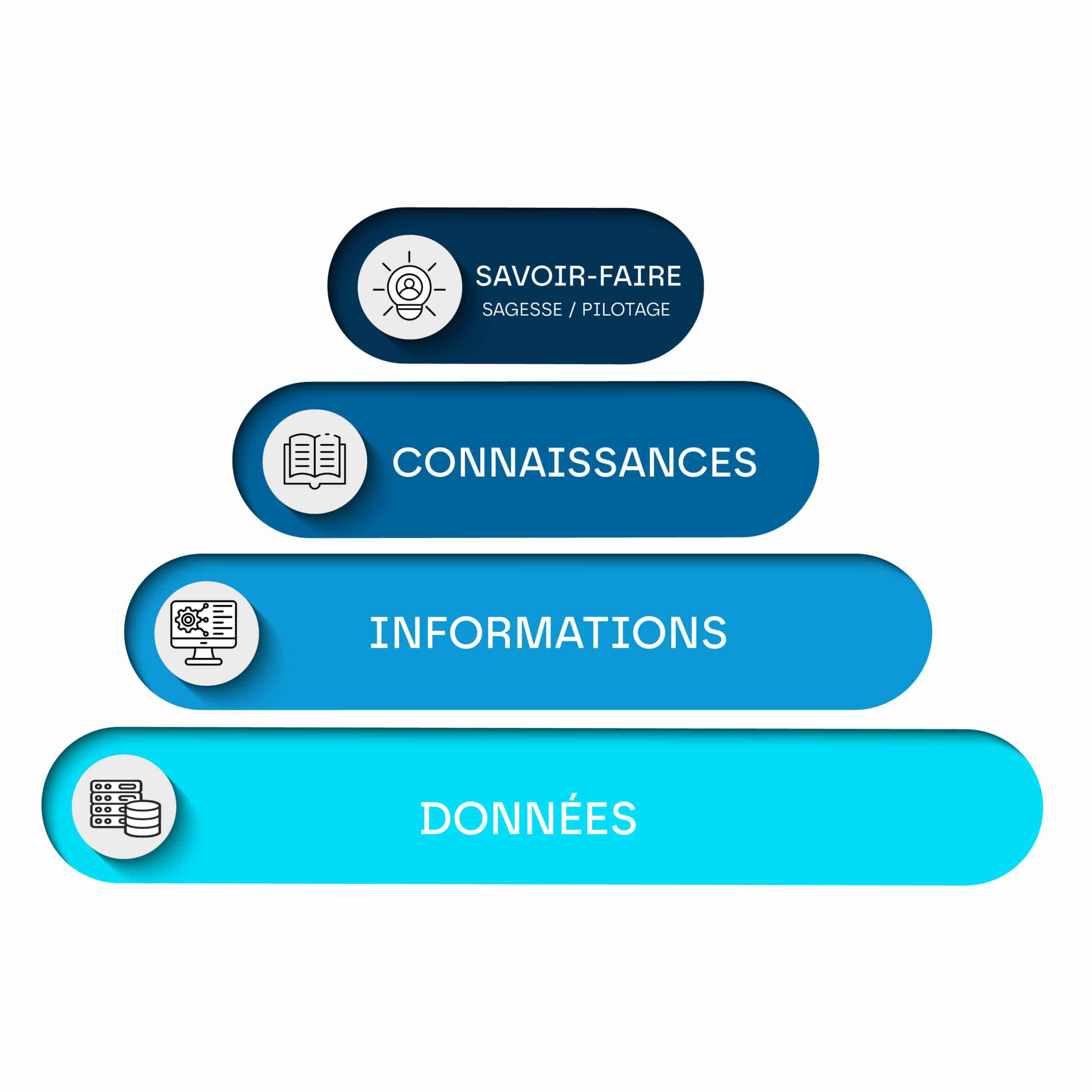 Illustration du contenu